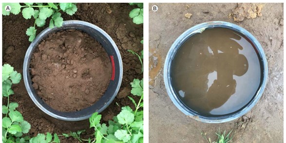 Two drainpipe segments buried in soil, one with soil visible at the bottom and one filled with water